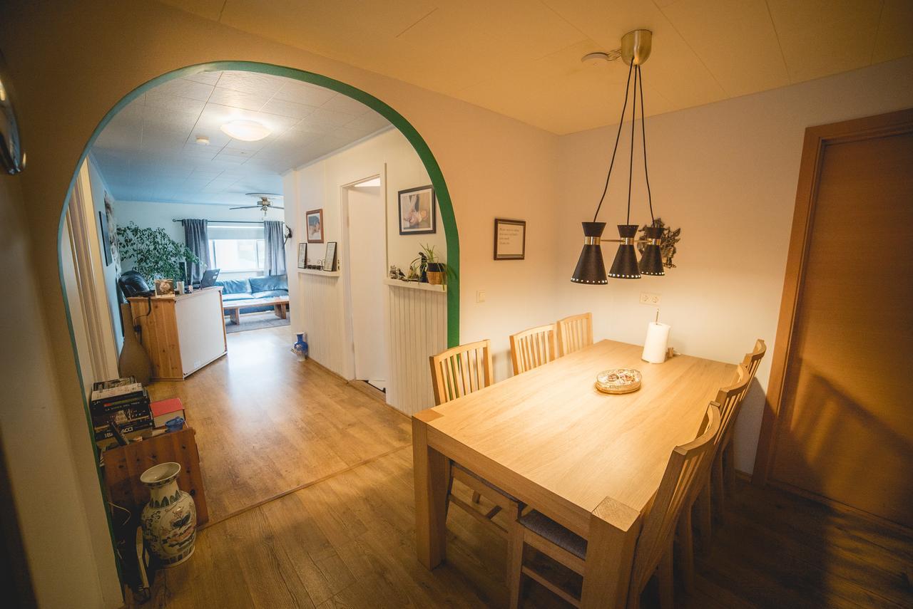 Dream Guesthouse Vik מראה חיצוני תמונה