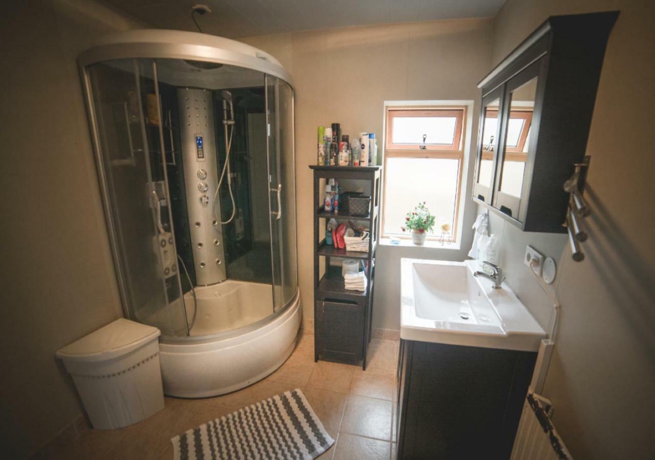 Dream Guesthouse Vik מראה חיצוני תמונה