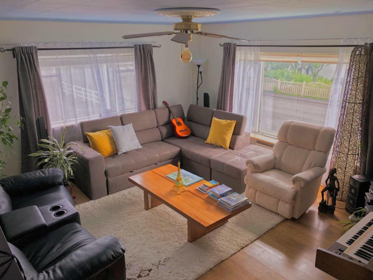 Dream Guesthouse Vik מראה חיצוני תמונה